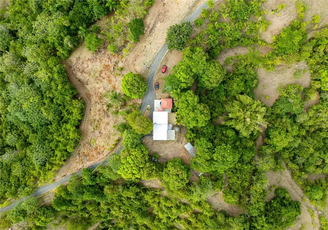 Photo 4 of Land for sale at Tabonuco Ward Sr 365 Km 64 Int, Sabana Grande, PR 00637 | MLS# PR9122994 | Listing updated on 2026-09-06