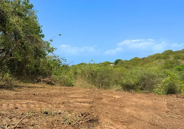 Photo 6 of Land for sale at 55 Calle De Batu, Vieques, PR 00765 | MLS# PR9122999 | Listing updated on 2026-07-27