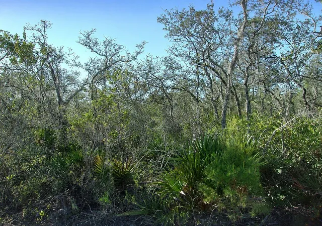 1st image of 10566 Interlacher Dr, Sebring, FL 33875 | MLS# C7528850