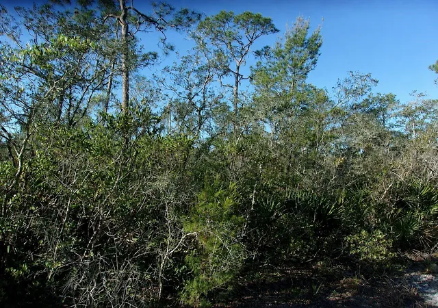 4th image of 10566 Interlacher Dr, Sebring, FL 33875 | MLS# C7528850