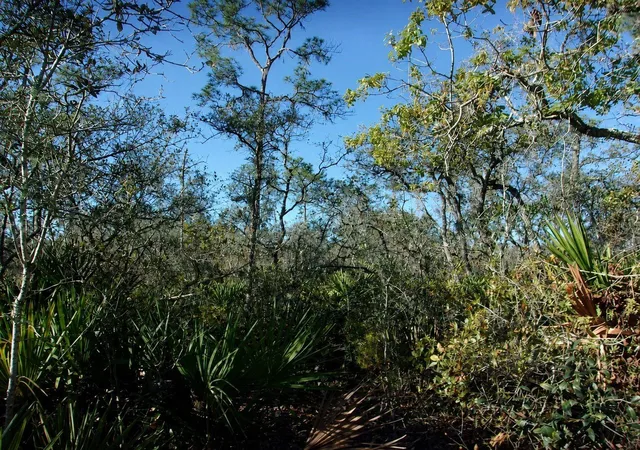 5th image of 10566 Interlacher Dr, Sebring, FL 33875 | MLS# C7528850