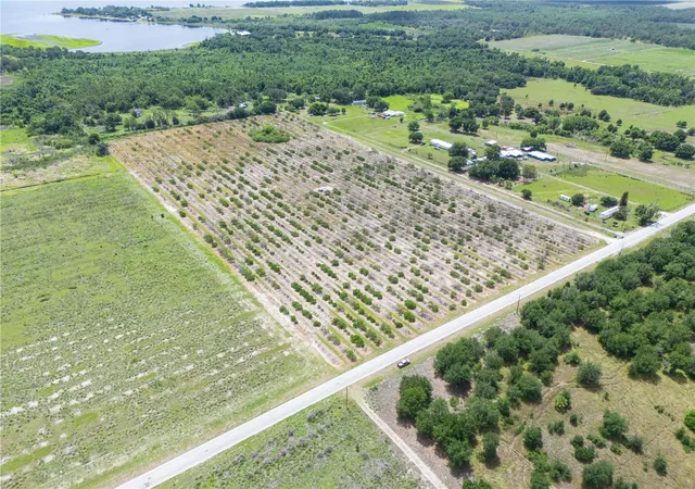 Photo 13 of Land for sale at Lake Buffum Rd W, Fort Meade, FL 33841 | MLS# L4963818 | Listing updated on 2026-07-28