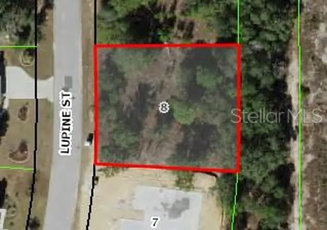 1st image of 16 Lupine St, Homosassa, FL 34446 | MLS# W7888009