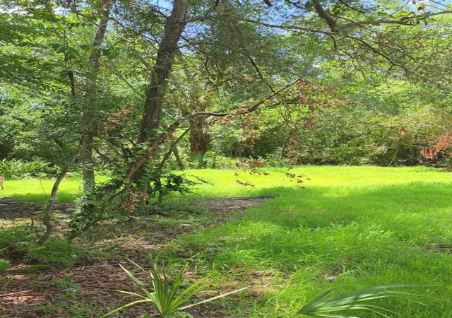 Photo 2 of Land for sale at 2919 E 25th Avenue, Tampa, FL 33605 | MLS# TB8533091 | Listing updated on 2026-07-28