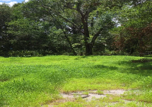 Photo 5 of Land for sale at 2919 E 25th Avenue, Tampa, FL 33605 | MLS# TB8533091 | Listing updated on 2026-07-28