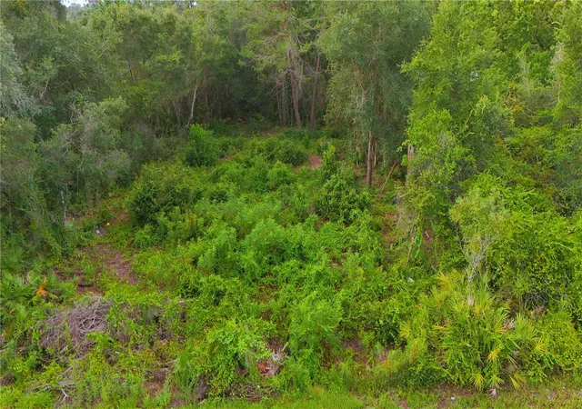 5th image of County Road 42, Paisley, FL 32767 | MLS# O6428455