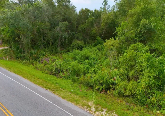8th image of County Road 42, Paisley, FL 32767 | MLS# O6428455