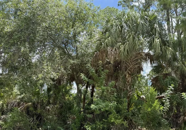 Photo 3 of Land for sale at Badali Rd, North Port, FL 34286 | MLS# C7528868 | Listing updated on 2026-07-28