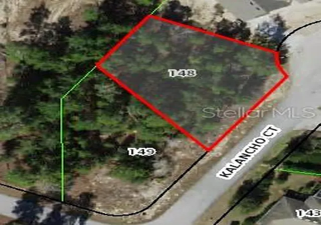 1st image of 3 Kalanchoe Ct, Homosassa, FL 34446 | MLS# W7888017