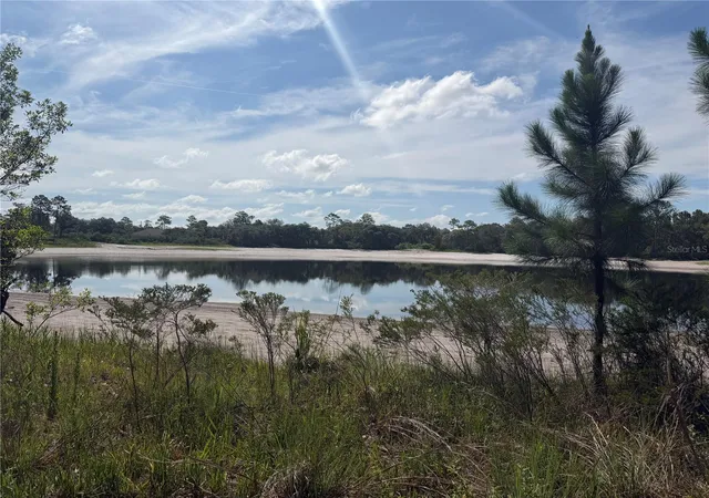 2nd image of Tbd Malauka Pass Trl, Ocklawaha, FL 32179 | MLS# OM729258