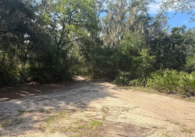 Photo 3 of Land for sale at Tbd Malauka Pass Trl, Ocklawaha, FL 32179 | MLS# OM729258 | Listing updated on 2026-08-05