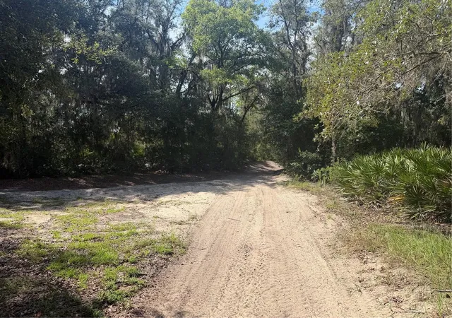 Photo 4 of Land for sale at Tbd Malauka Pass Trl, Ocklawaha, FL 32179 | MLS# OM729258 | Listing updated on 2026-08-05