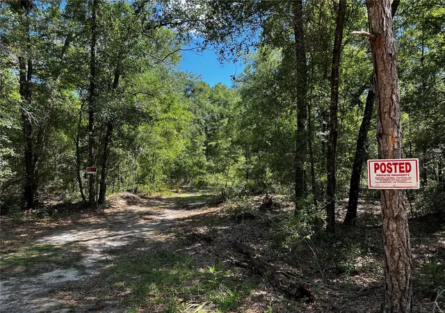 Photo 2 of Land for sale at Tbd Ne 81st Street, Bronson, FL 32621 | MLS# OM729262 | Listing updated on 2026-07-28