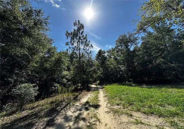 Photo 23 of Land for sale at Tbd Ne 81st Street, Bronson, FL 32621 | MLS# OM729262 | Listing updated on 2026-07-28