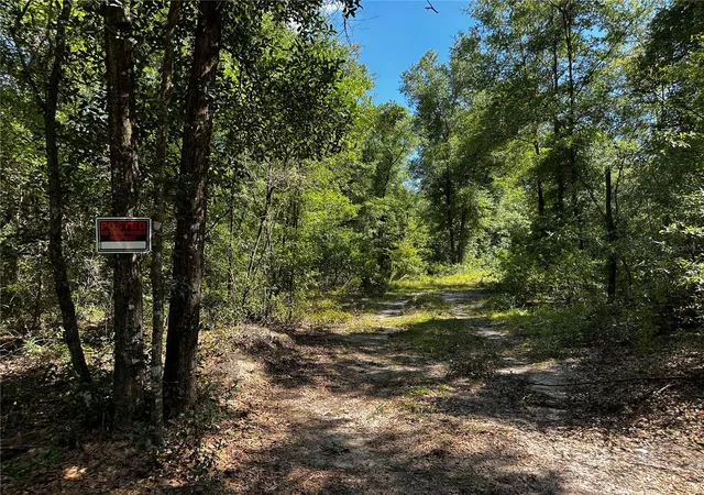 Photo 3 of Land for sale at Tbd NE 81st Street, Bronson, FL 32621 | MLS# OM729262 | Listing updated on 2026-07-28