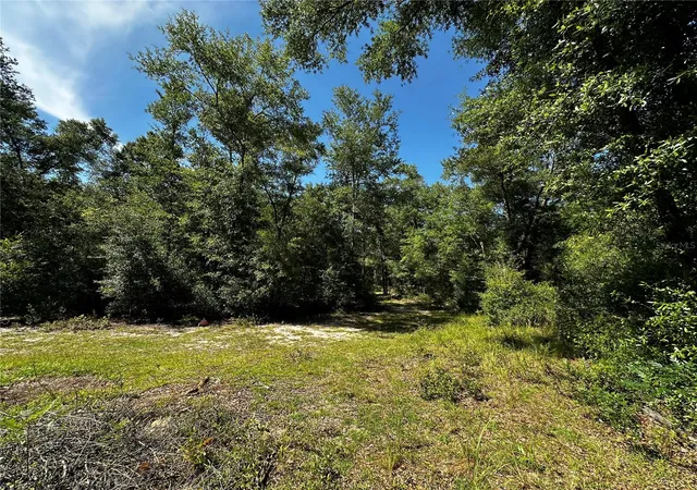 Photo 4 of Land for sale at Tbd NE 81st Street, Bronson, FL 32621 | MLS# OM729262 | Listing updated on 2026-07-28