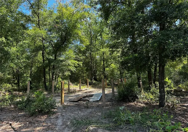 Photo 5 of Land for sale at Tbd NE 81st Street, Bronson, FL 32621 | MLS# OM729262 | Listing updated on 2026-07-28