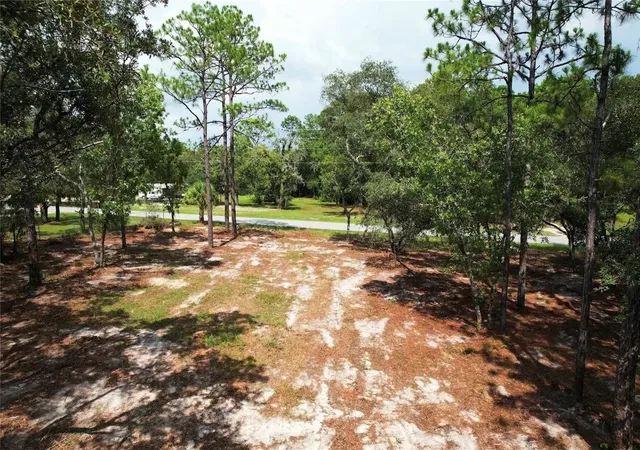 2nd image of 4546 S Evergreen Ave, Homosassa, FL 34446 | MLS# O6428555