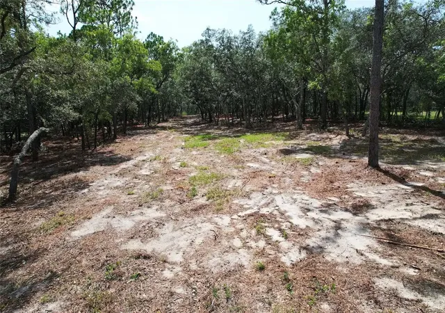 3rd image of 4546 S Evergreen Ave, Homosassa, FL 34446 | MLS# O6428555