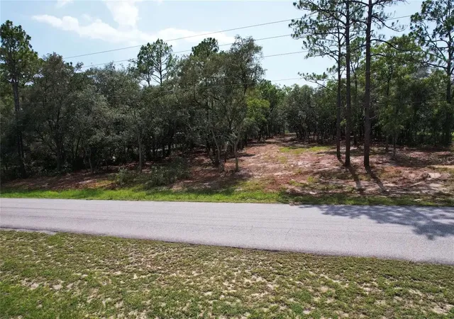 4th image of 4546 S Evergreen Ave, Homosassa, FL 34446 | MLS# O6428555