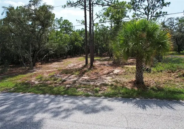 5th image of 4546 S Evergreen Ave, Homosassa, FL 34446 | MLS# O6428555