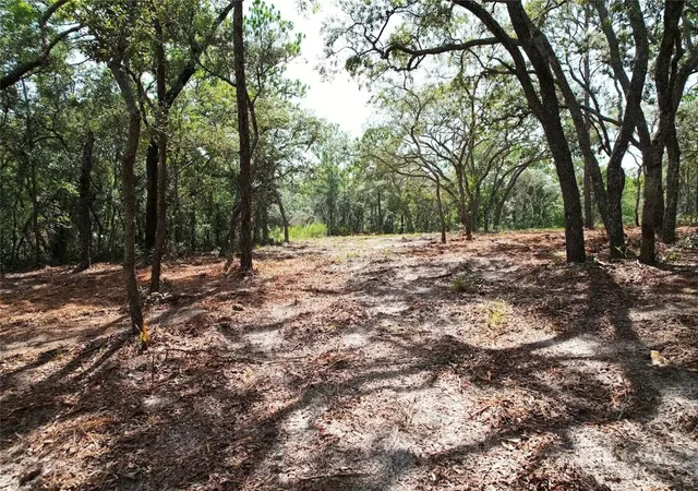 10th image of 4546 S Evergreen Ave, Homosassa, FL 34446 | MLS# O6428555