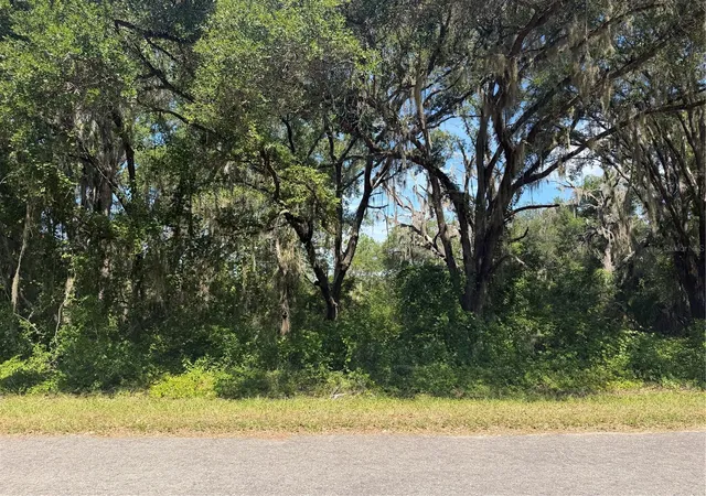 1st image of Tbd Guava Ter, Ocklawaha, FL 32179 | MLS# OM729277