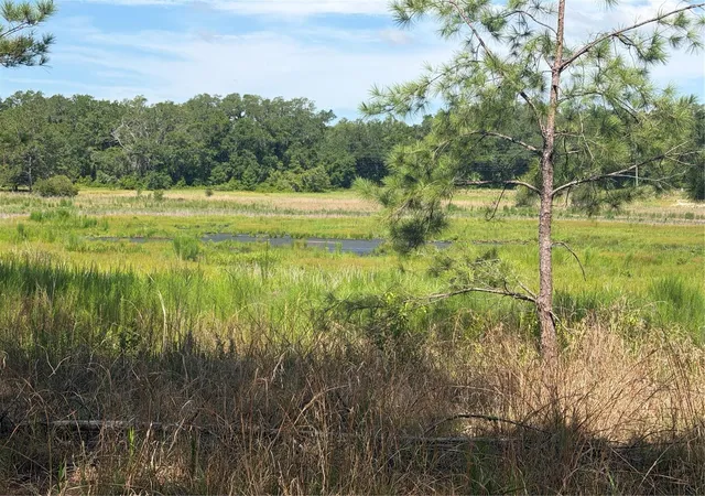 2nd image of Tbd Guava Ter, Ocklawaha, FL 32179 | MLS# OM729277