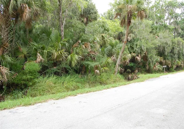 1st image of Palm Dr, New Smyrna Beach, FL 32168 | MLS# NS1088850