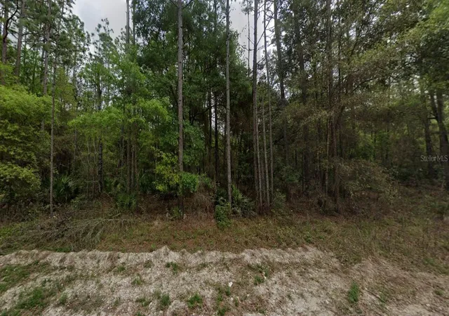 Photo 1 of Land for sale at Ne 821st Street, Old Town, FL 32680 | MLS# GC542269 | Listing updated on 2026-07-30