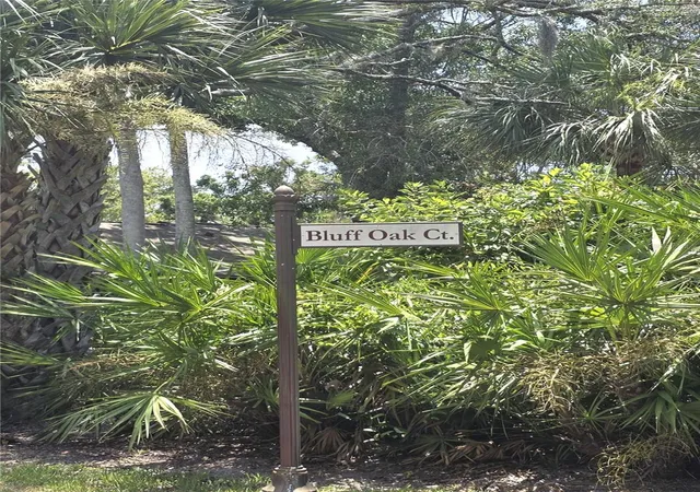 2nd image of 4045 Bluff Oak Ct, Palm Harbor, FL 34684 | MLS# TB8533355