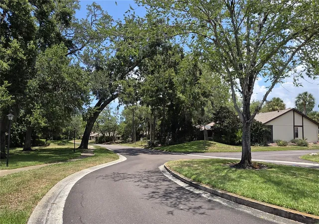 29th image of 4045 Bluff Oak Ct, Palm Harbor, FL 34684 | MLS# TB8533355