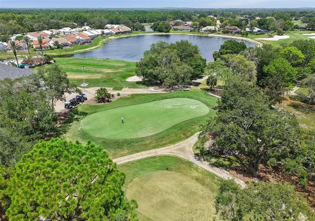 42nd image of 9330 New Orleans Dr, Weeki Wachee, FL 34613 | MLS# N6145183