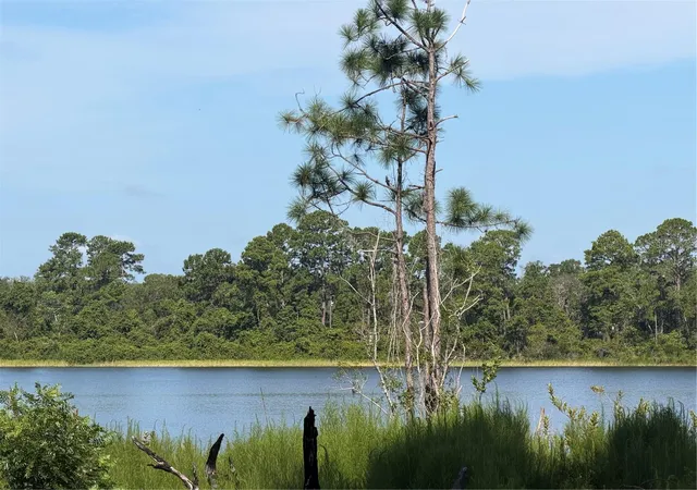Photo 3 of Land for sale at Tbd Malauka Radl, Ocklawaha, FL 32179 | MLS# OM729318 | Listing updated on 2026-08-05