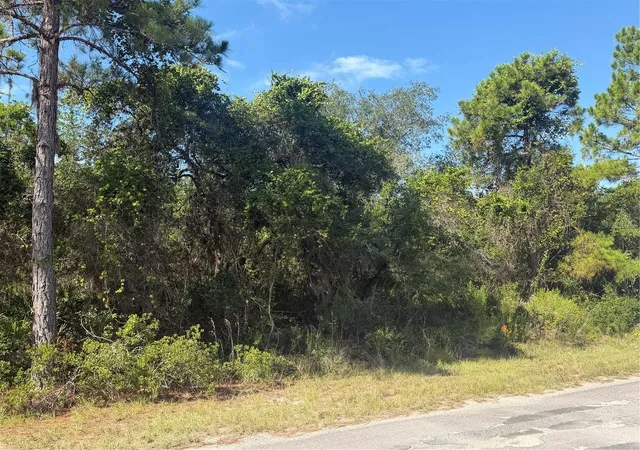 Photo 4 of Land for sale at Tbd Malauka Radl, Ocklawaha, FL 32179 | MLS# OM729318 | Listing updated on 2026-08-05