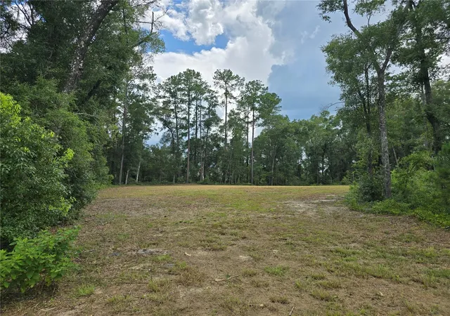 Photo 3 of Land for sale at 1003 Sw 175th Court, Newberry, FL 32669 | MLS# GC542279 | Listing updated on 2026-08-14
