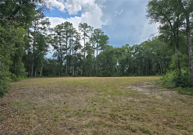 Photo 3 of Land for sale at 1003 SW 175th Court, Newberry, FL 32669 | MLS# GC542279 | Listing updated on 2026-08-14