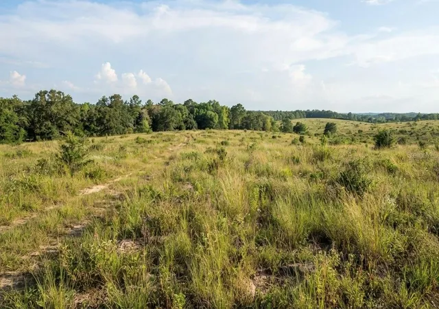 Photo 2 of Land for sale at 775 N Sr 415 Ave, Osteen, FL 32764 | MLS# V4950440 | Listing updated on 2026-08-11