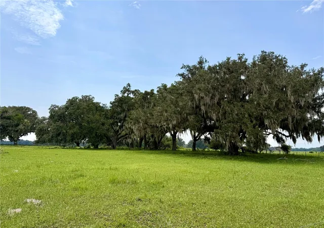 1st image of E C 478, Webster, FL 33597 | MLS# G5115643