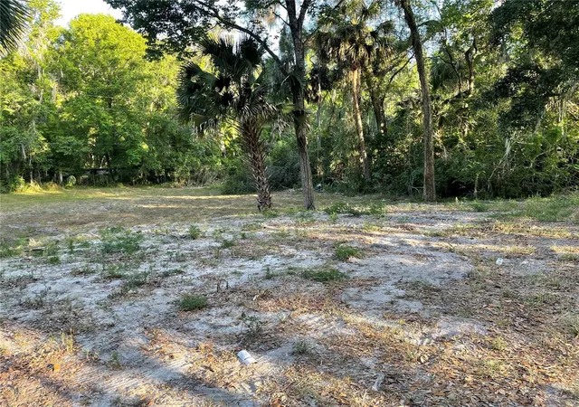 Photo 2 of Land for sale at Park Ave, De Leon Springs, FL 32130 | MLS# V4950443 | Listing updated on 2026-07-29