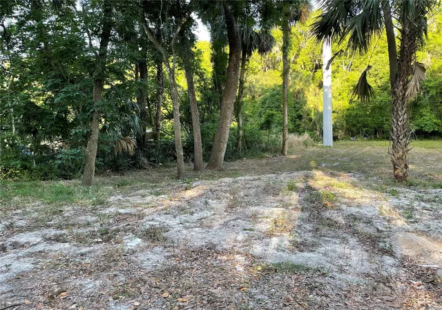 Photo 3 of Land for sale at Park Ave, De Leon Springs, FL 32130 | MLS# V4950443 | Listing updated on 2026-07-29