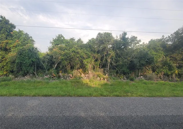 Photo 3 of Land for sale at Sw 43rd Court #7, Ocala, FL 34473 | MLS# OM729351 | Listing updated on 2026-10-09