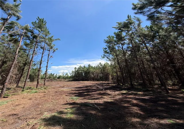 1st image of Arnold Rhoden Rd, Sanderson, FL 32087 | MLS# A4701341