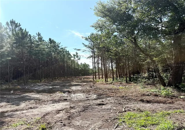 Photo 3 of Sale Pending at Arnold Rhoden Rd, Sanderson, FL 32087 | MLS# A4701341 | Listing updated on 2026-08-05