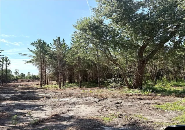 4th image of Arnold Rhoden Rd, Sanderson, FL 32087 | MLS# A4701341