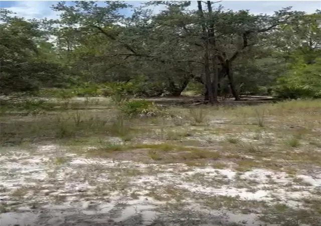4th image of 0 Orchid Dr, Indian Lake Estates, FL 33855 | MLS# O6428959