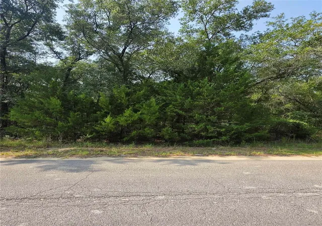 Photo 2 of Land for sale at Duval Ave, Interlachen, FL 32148 | MLS# FC320273 | Listing updated on 2026-07-29