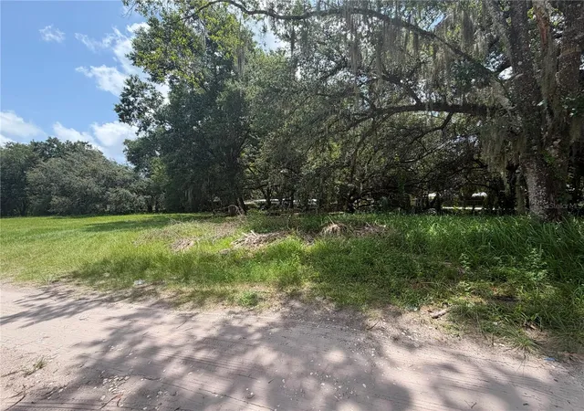 Photo 4 of Land for sale at Helen Ave, Kissimmee, FL 34746 | MLS# S5154572 | Listing updated on 2026-08-24
