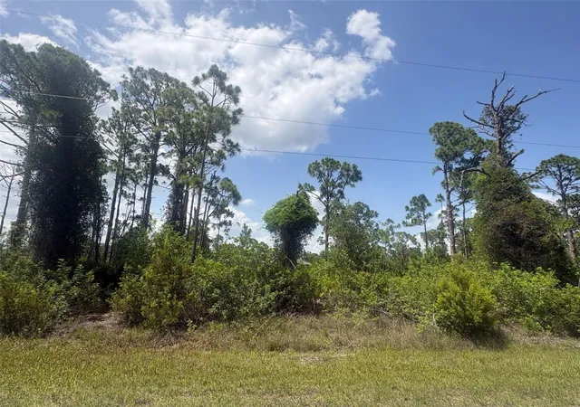 Photo 1 of Land for sale at 14200 Naylor Ave, Port Charlotte, FL 33981 | MLS# A4701382 | Listing updated on 2026-10-14