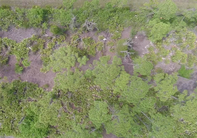 Photo 2 of Land for sale at 14201 Naylor Ave, Port Charlotte, FL 33981 | MLS# A4701383 | Listing updated on 2026-10-14